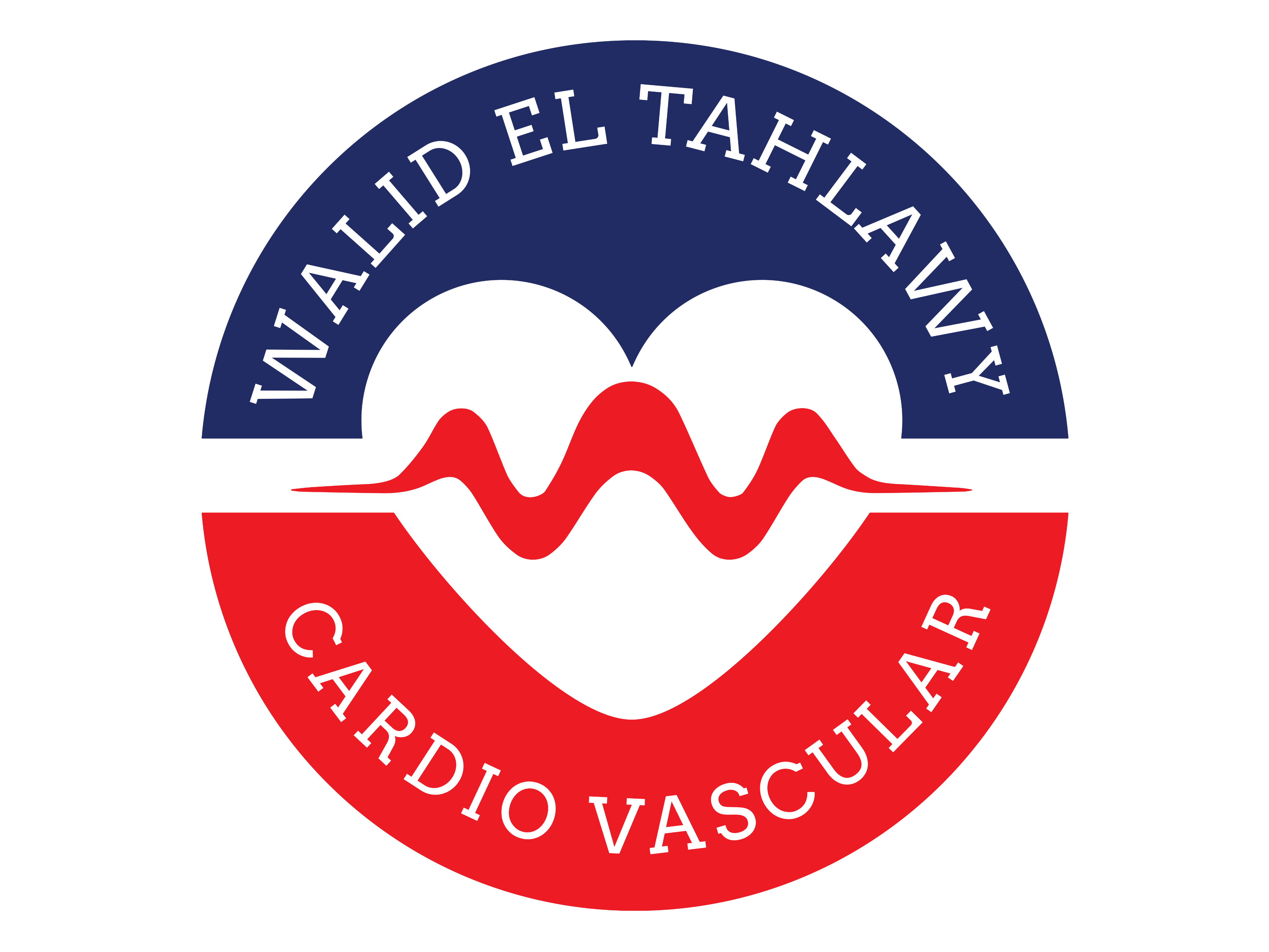 Walid El Tanlawy Cardio Vascular